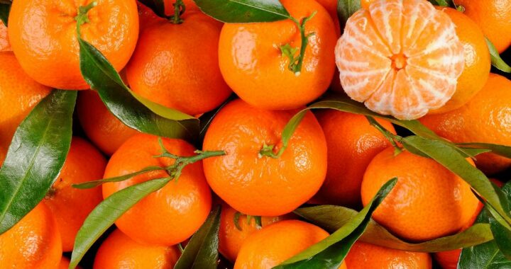 Quelle est la différence entre les mandarines et les clémentines ?